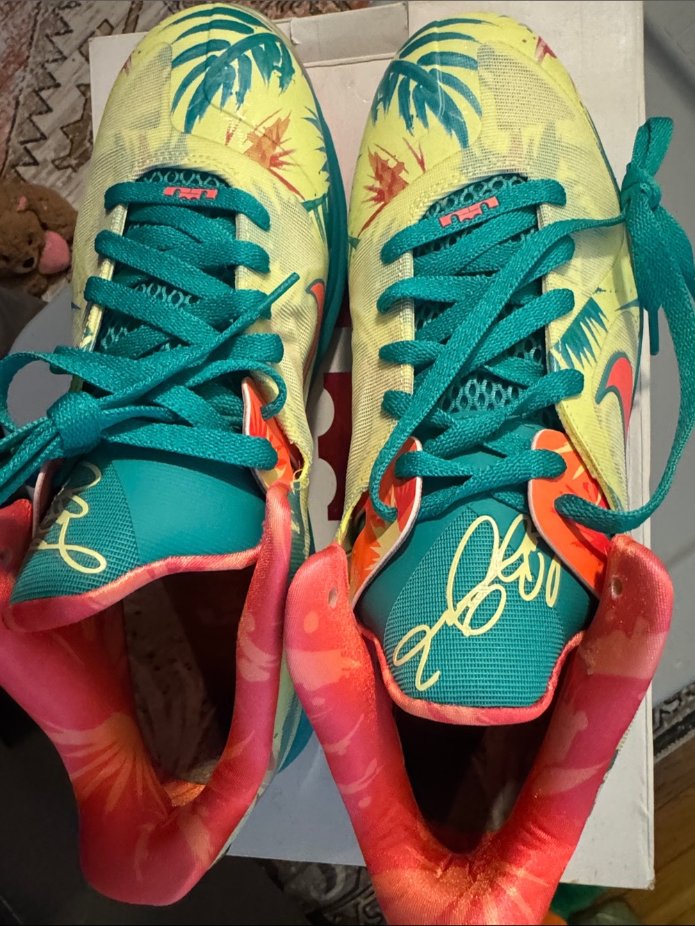 Nike LeBron 9 Low - LeBronald Palmer